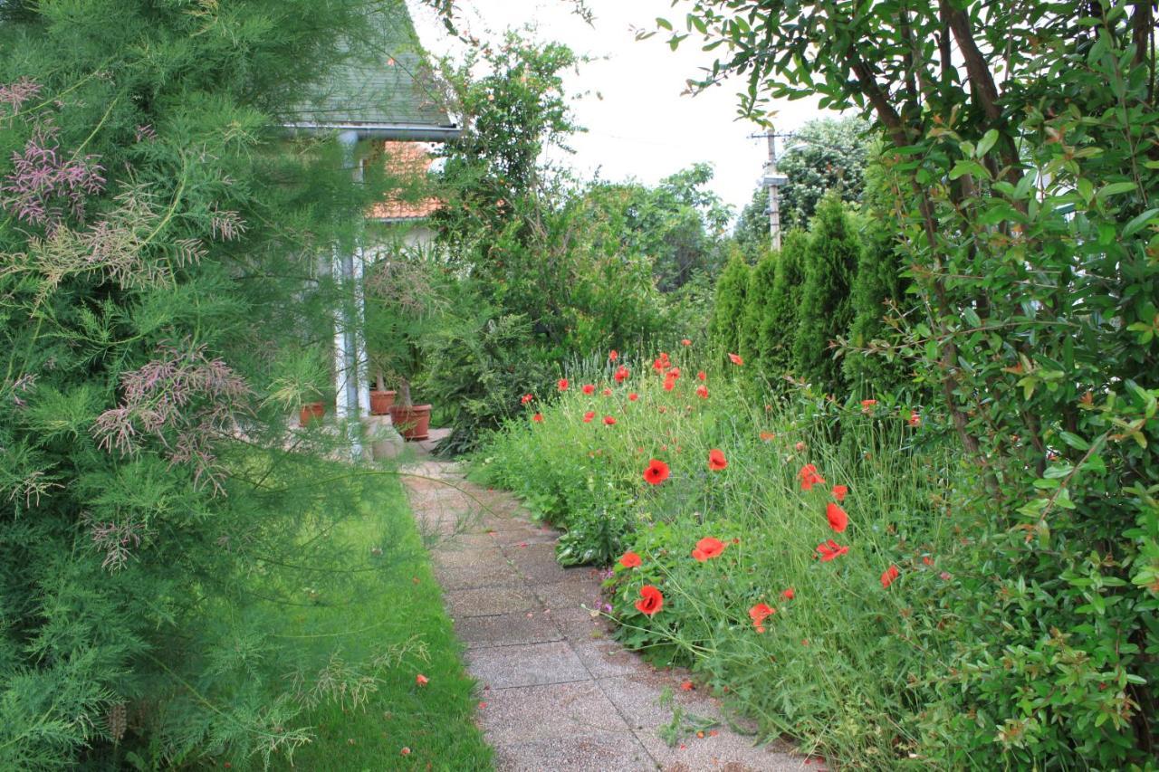 Boulevard Garden House - Free And Save Parking In The Locked Yard Cuprija Luaran gambar